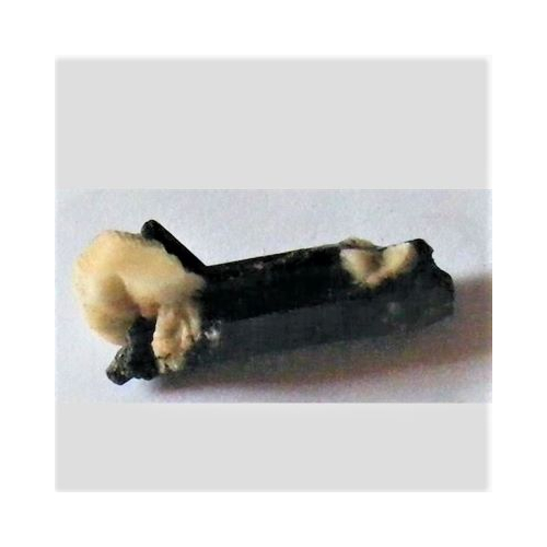 aegerine 1