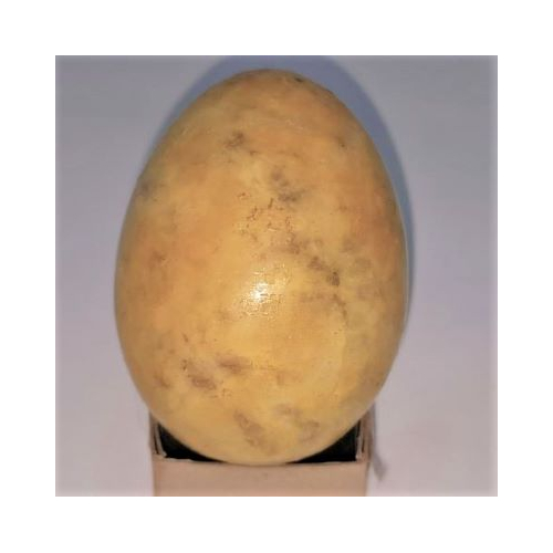 leopard stone egg 1