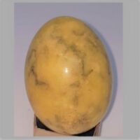 leopard stone egg 2
