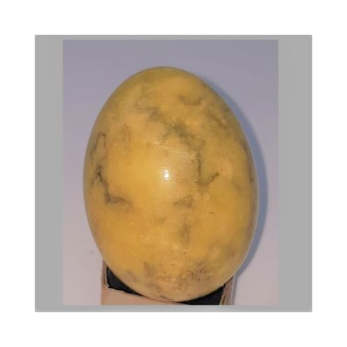leopard stone egg 2
