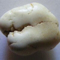 ivory magnesite tumble stone
