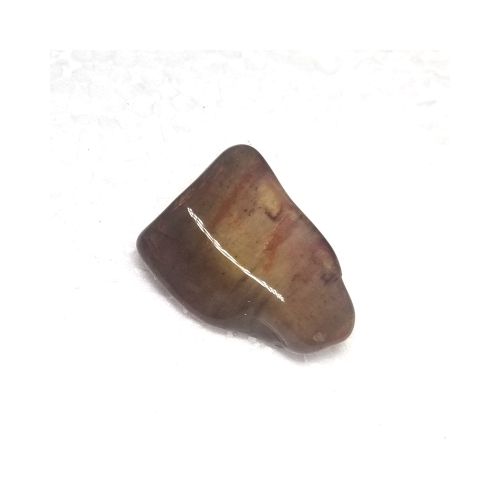 petrified wood