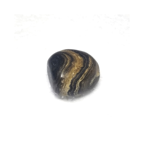stromatolite