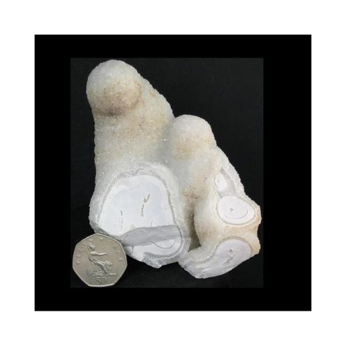Specimen pieces