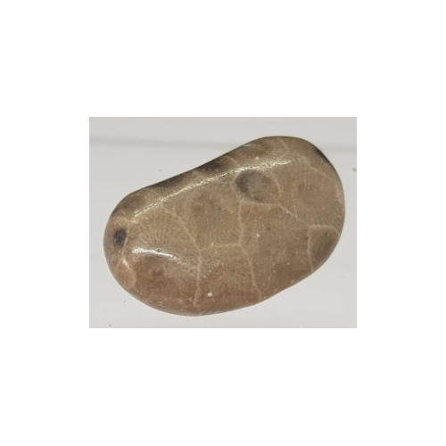 petrosky stone