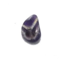 amethyst zebra