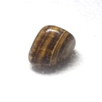 aragonite brown