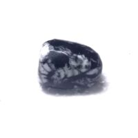 chrysanthemum stone