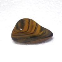 jasper new banded