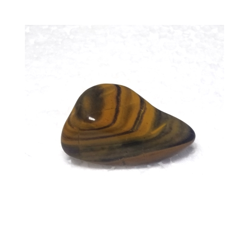 jasper new banded