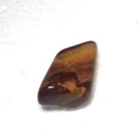 jasper rainbow