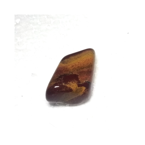 jasper rainbow