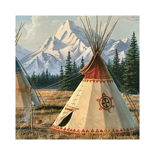 Native American Products