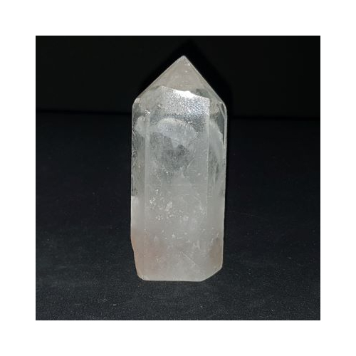 dolphin engraved quartz point
