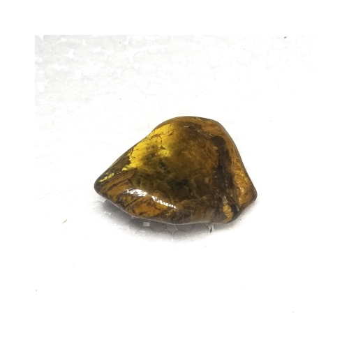 lionskin