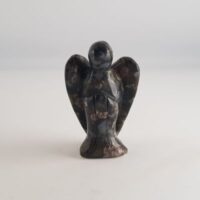 medium que sera angel