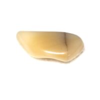 voegisite