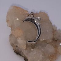 silver dolphin pendant