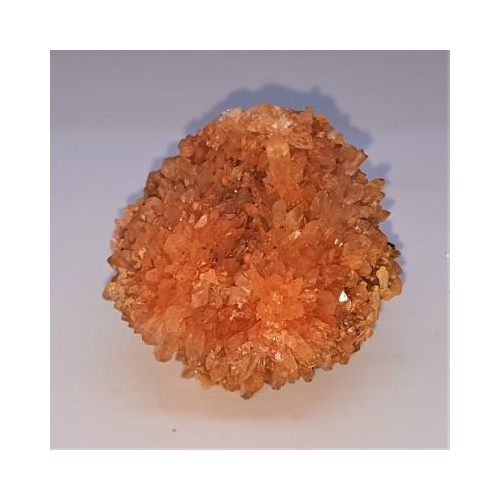 creedite 1 side view