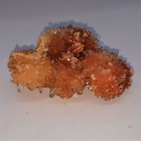 creedite 2 reverse side