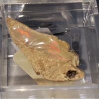 ethiopian opal 1