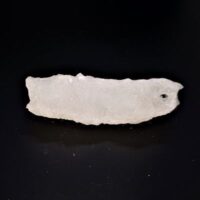 halite 2