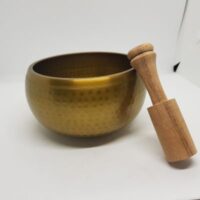 singing bowl 1 with beater side view