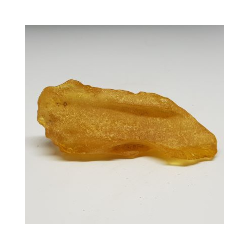 copal 1 reverse side