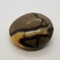 septarian pebble 1