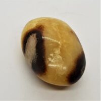 septarian pebble 10