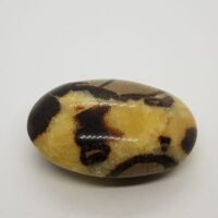 septarian pebble 10