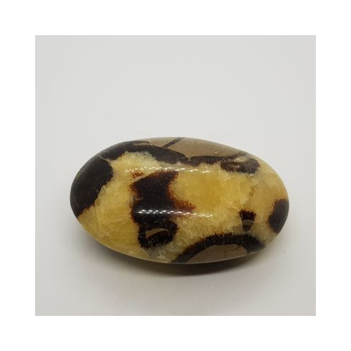 septarian pebble 10