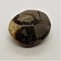 septarian pebble 4