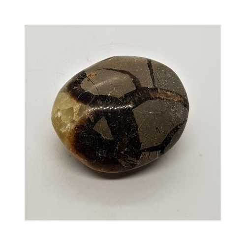 septarian pebble 4