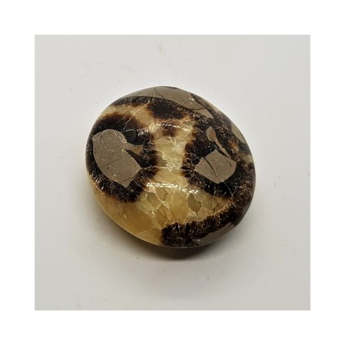 septarian pebble 5
