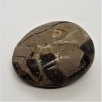 septarian pebble 6