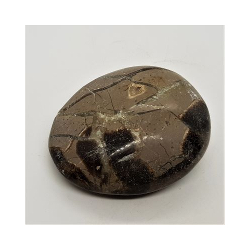 septarian pebble 6