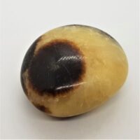 septarian pebble 7