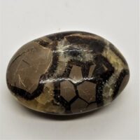 septarian pebble 8