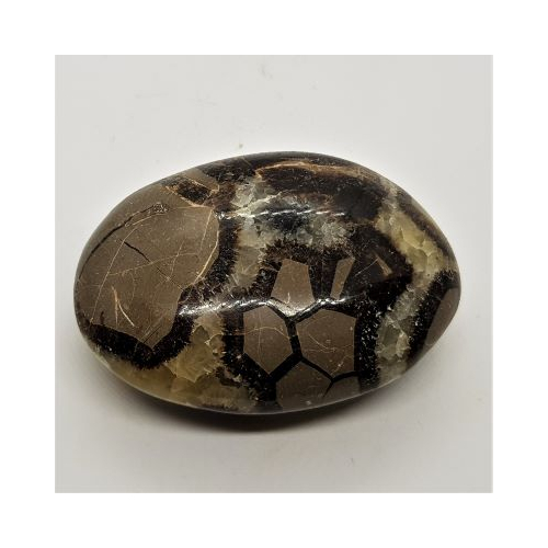 septarian pebble 8