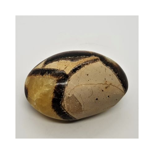 septarian pebble 9