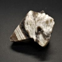 natural zebra aragonite reverse side