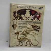 dragon anatomy small picture