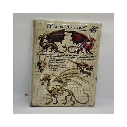 dragon anatomy small picture