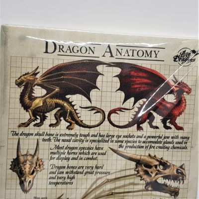 dragon anatomy picture close up of top section