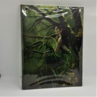 small picture of woman and green dragon