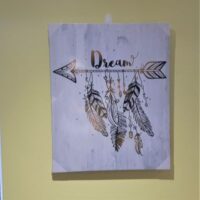 LED picture with arrow and feathers and the word dream