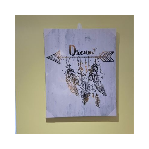 LED picture with arrow and feathers and the word dream