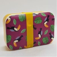 toucan patterned bamboo lunchbox top view