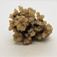 fluorescent aragonite 3 top view